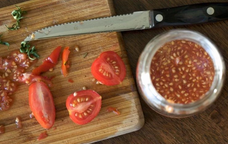 с каких помидоров можно собирать семена