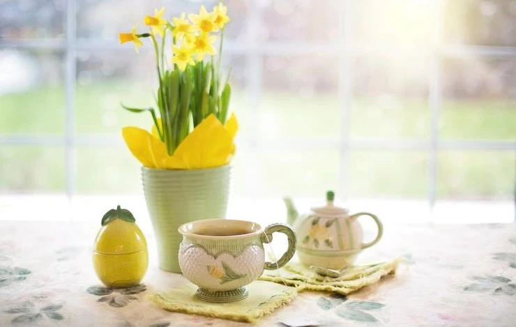 многолетние растения