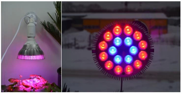 фитолампы фотосинтез для досветки рассады томатов