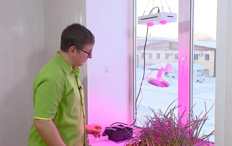 как прикрепить фитолампу к окну