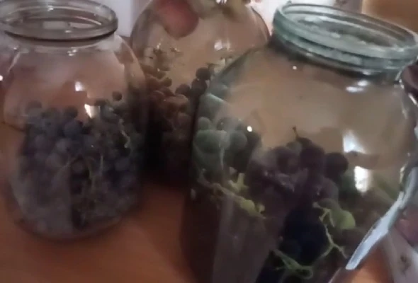 компот из винограда на зиму гроздьями