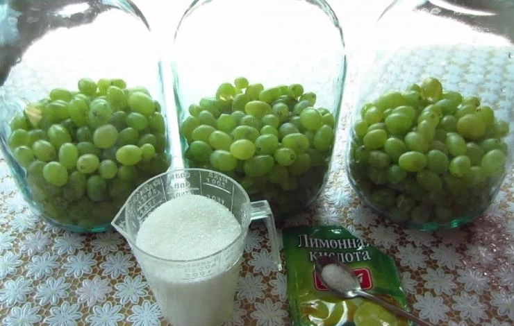 компот из зеленого винограда на зиму