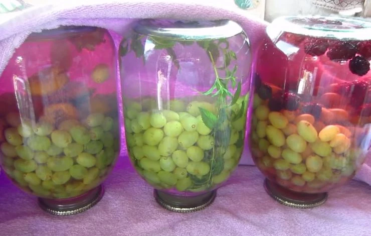 компот из винограда на зиму без стерилизации