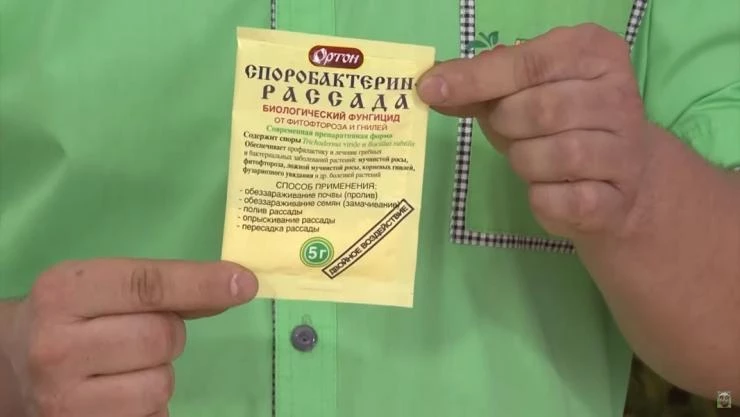 споробактерин для рассады