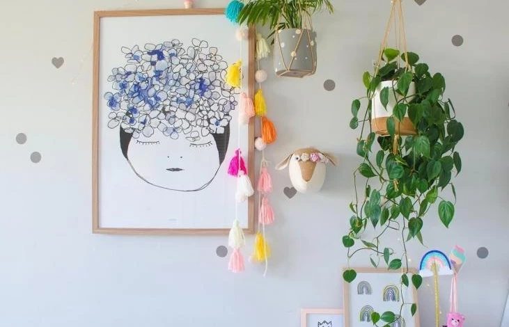 какие растения можно в детской