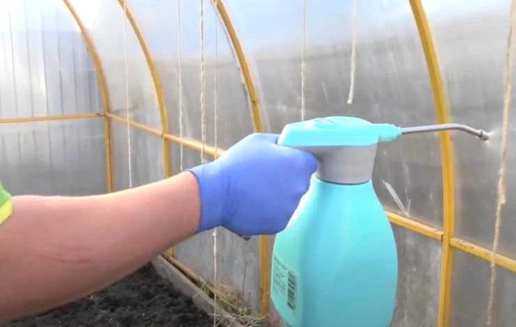 Обработка теплицы от вредителей