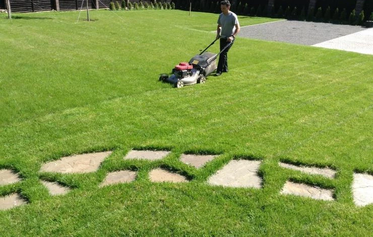 Стрижка подросшей травы