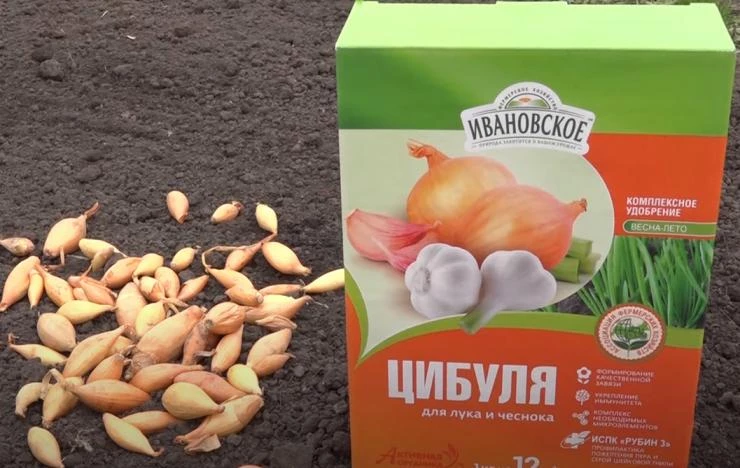 Удобрение Цибуля
