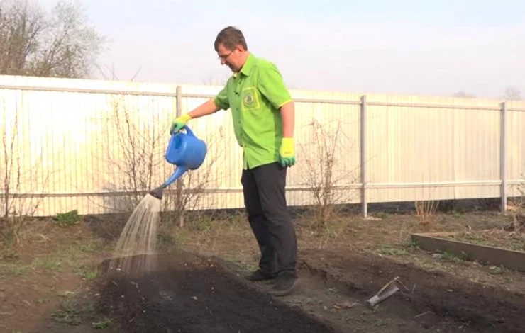 Удобряем Конской силой