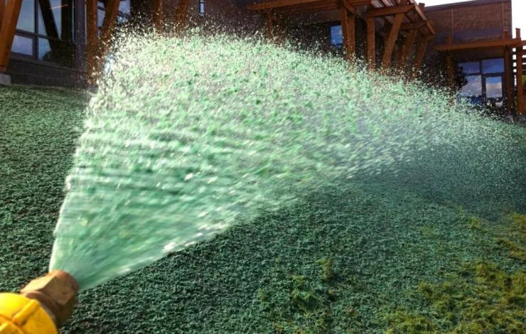 Гидропосев травы