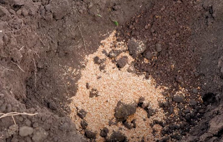 Посадочная лунка