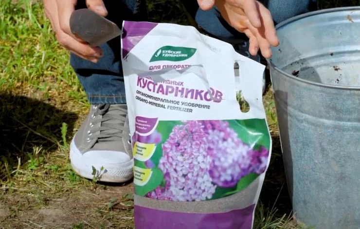Эффективное удобрение для декоративных кустарников