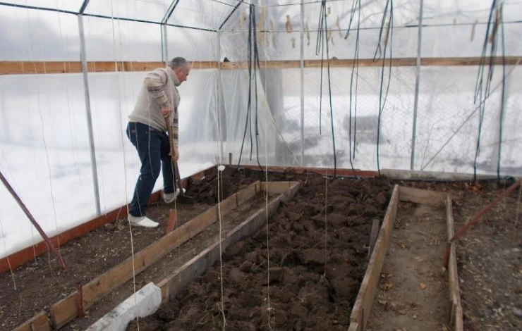 Грядка для перца в теплице