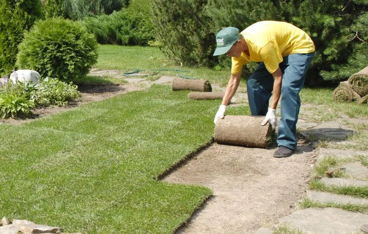 Укладка рулонного газона