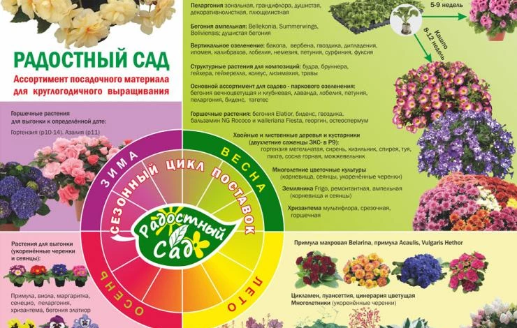 Ассортимент посадочного материала компании "Радостный сад"