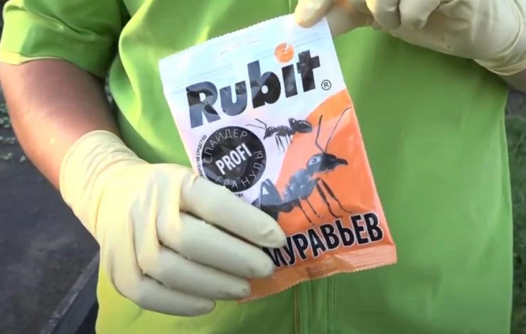 Как бороться с муравьями на участке