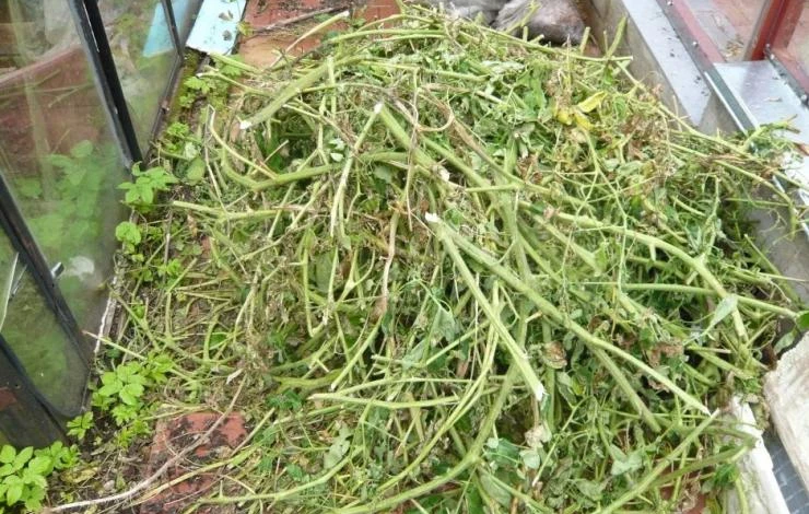 Скашивание ботвы