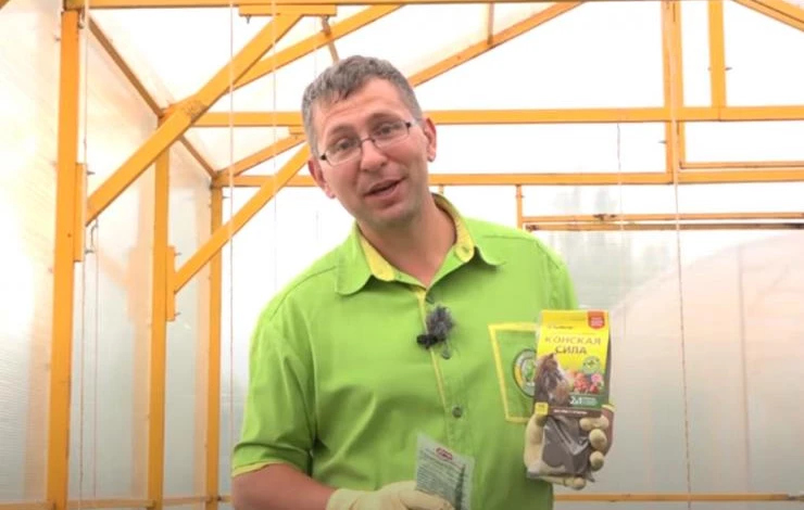 средства от кладоспориоза