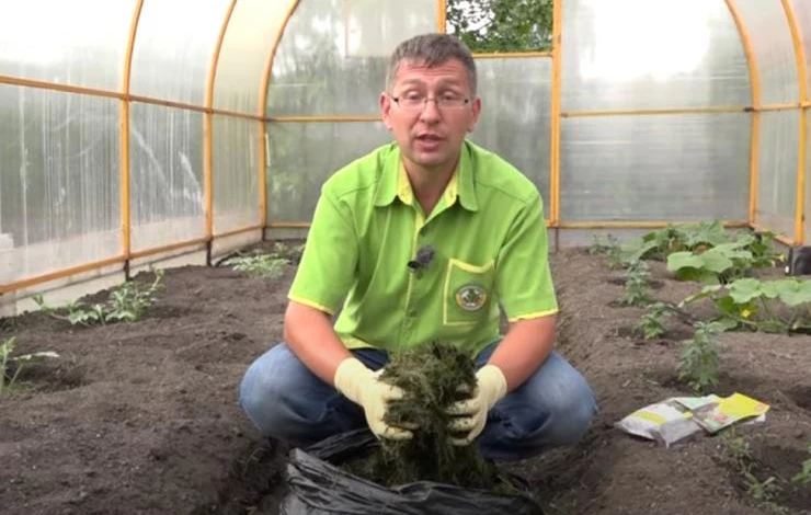 Как использовать скошенную траву на даче для компоста