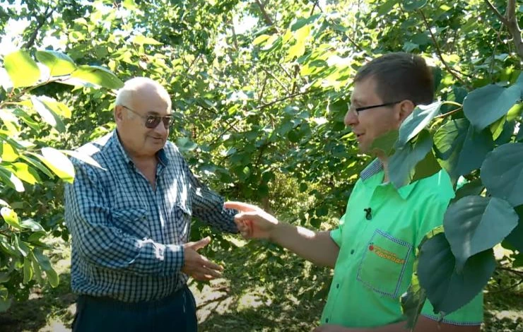 Валерий Константинович Железов