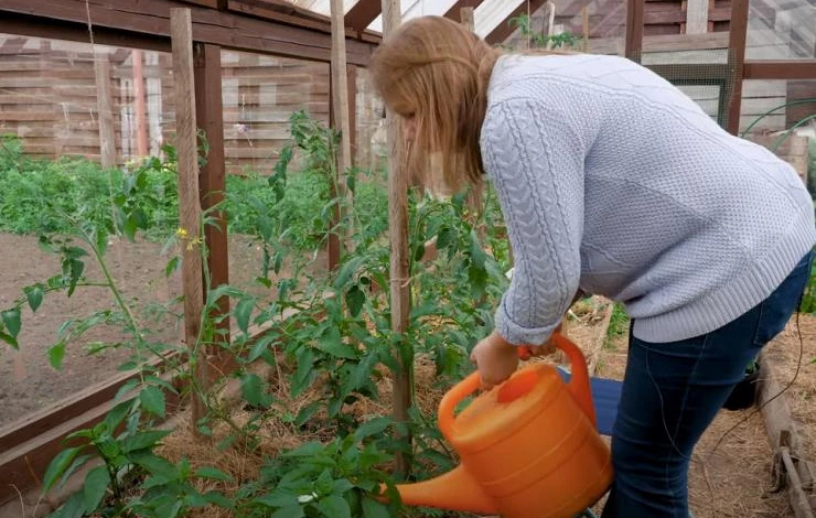 Как разводить азотно-калийно-фосфорное удобрение
