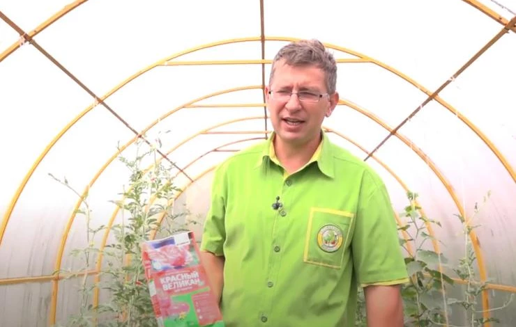 Удобрение Красный великан