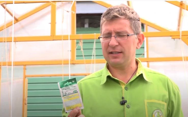 Метаборат калия – удобрение для завязывания томатов