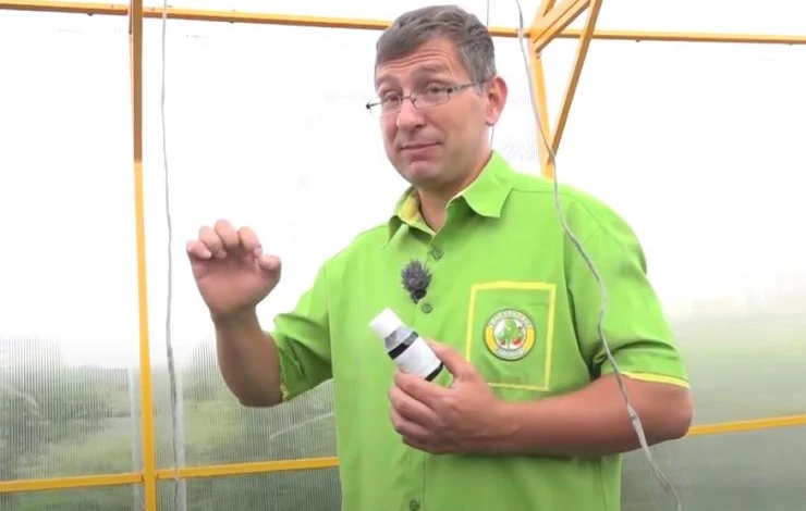 Как применять Фармайод для томатов в теплице?