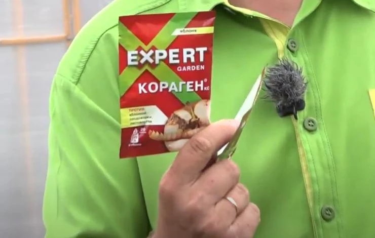 Кораген против вредителей томатов
