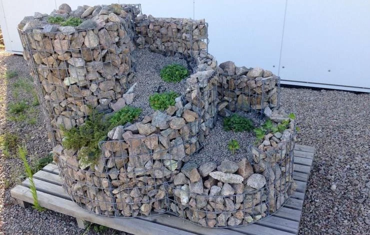 клумба из сетки и камней