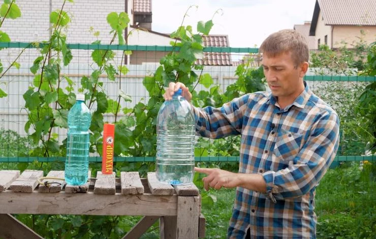 Капельный полив из пластиковой бутылки