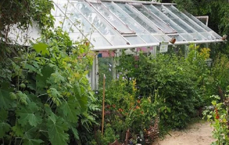 Как защитить теплицу от жары с помощью тени