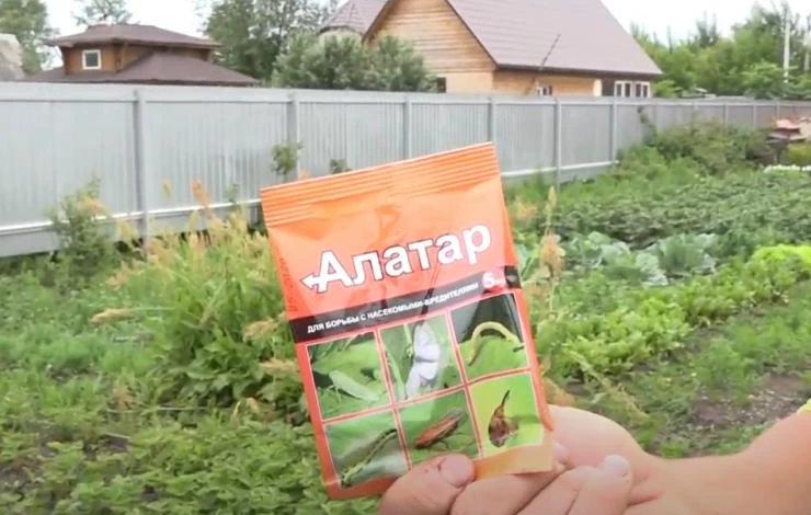 Алатар – препарат от белокрылки