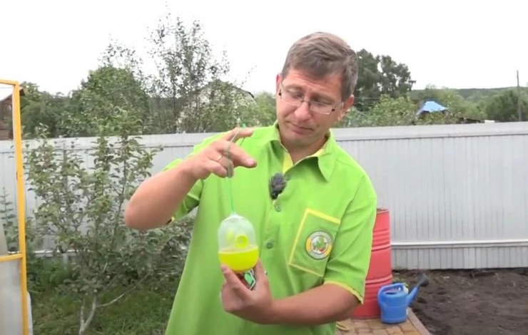 Ловушка для ос, пчел, мух
