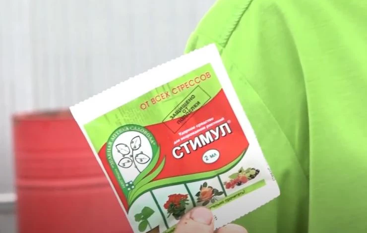 Стимул – источник аминокислот