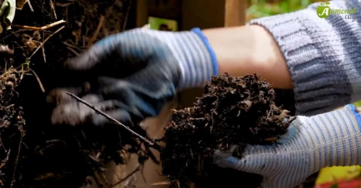 нижний слой компоста