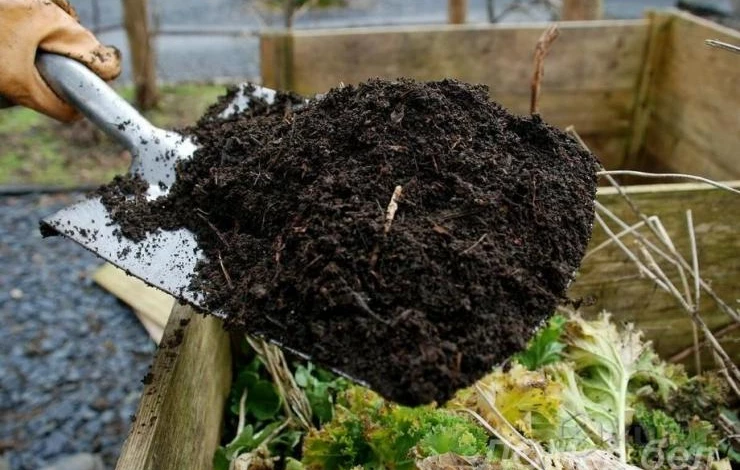 внесение компоста