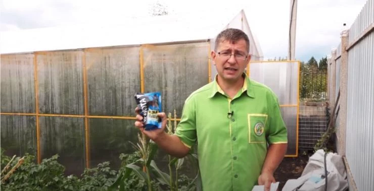 борьба с мышами на участке