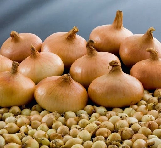 Как хранить лук-севок