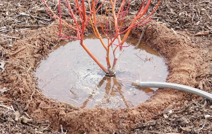 Влагозарядный полив в саду