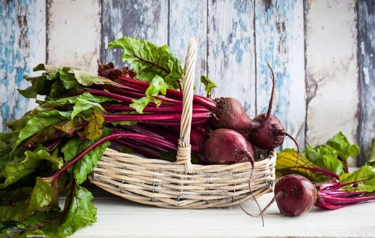 Хранение свеклы на кухне в квартире