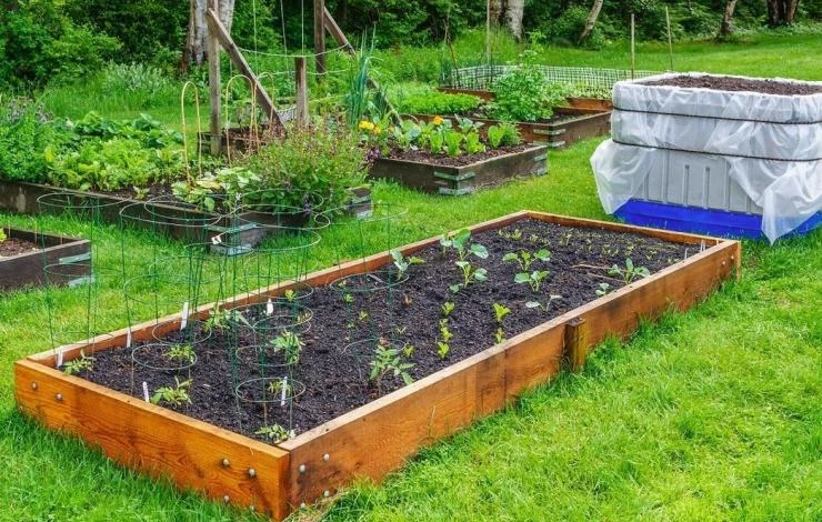 Место для теплых грядок