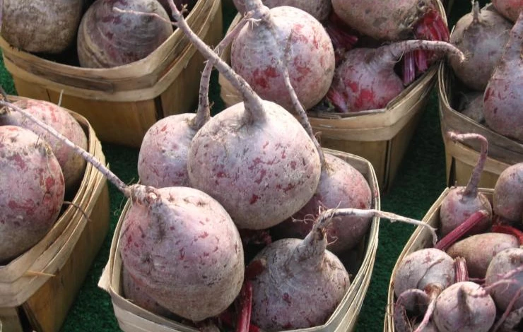 Хранение свеклы на балконе в ящике