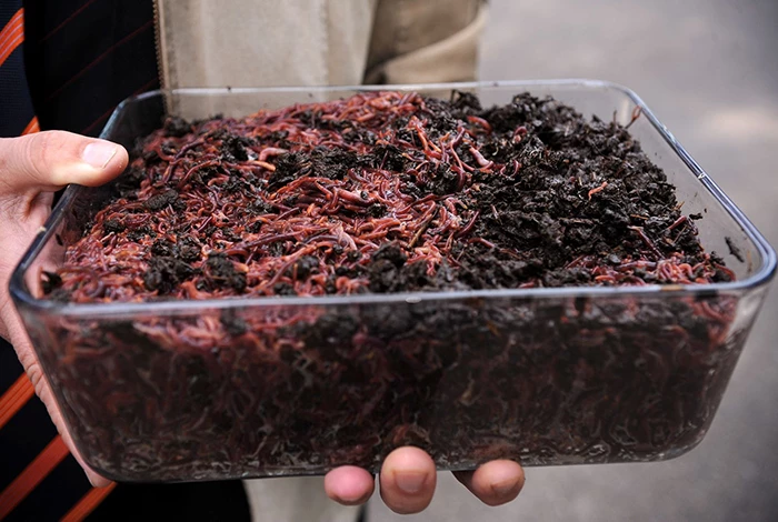 Производство органического удобрения