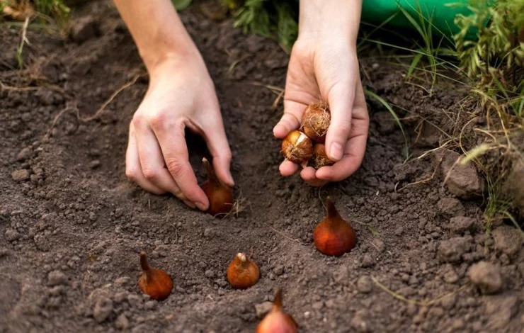 Работы на участке в октябре