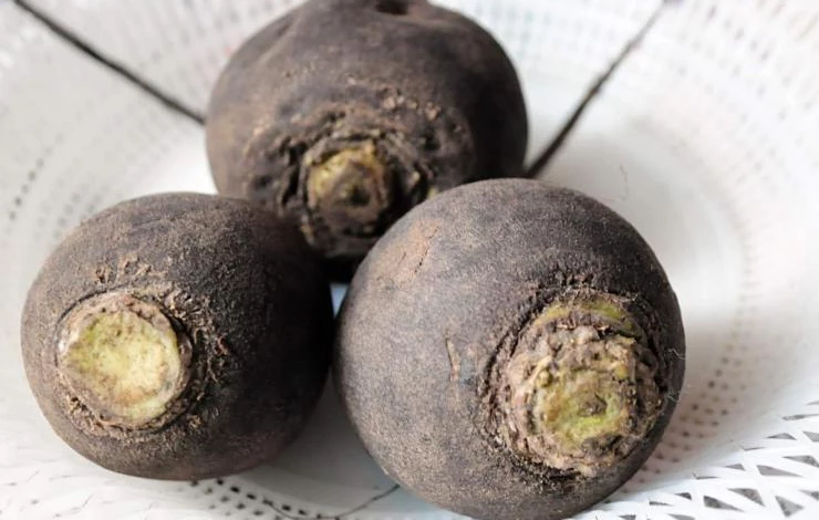 Хранение редьки зимой