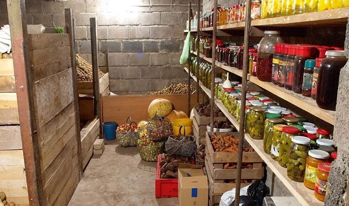 Хранение редьки в погребе