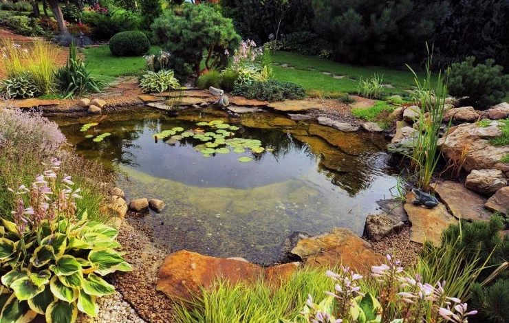 Очистка пруда на участке