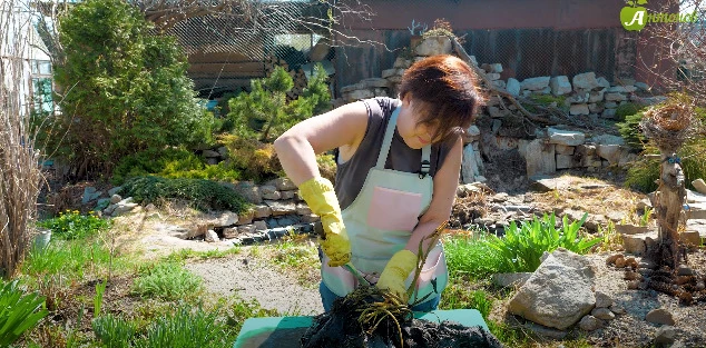 Используйте острый и крепкий нож