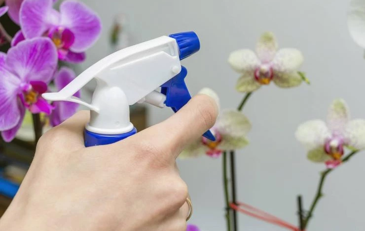Опрыскивание орхидей